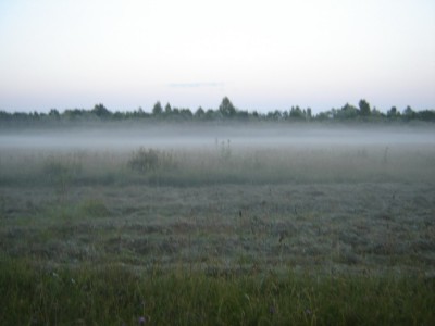 в тумане