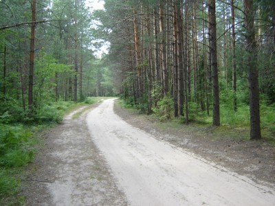 главная дорога