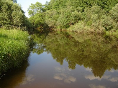 речка на закате