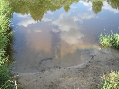 у воды