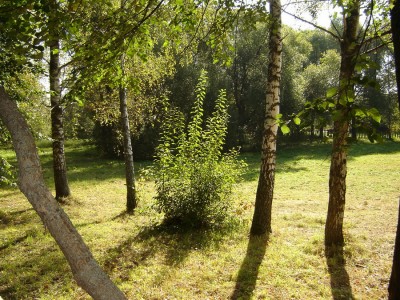 в мелихове