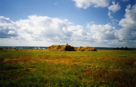 звенигородские дали