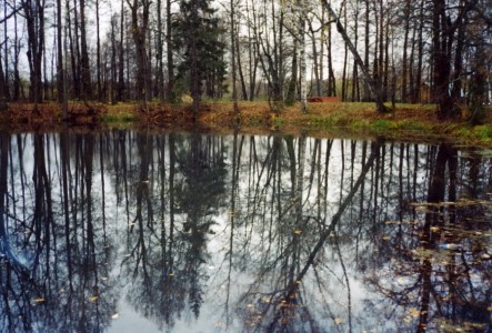 пруд в абрамцеве