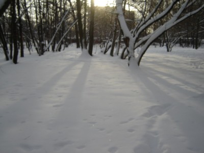 под моими окнами