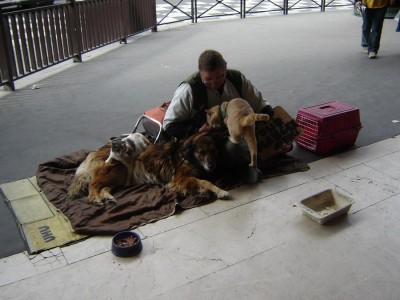 клошар