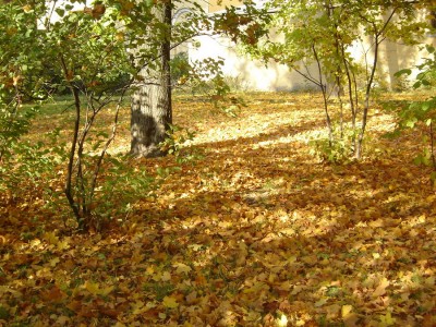 В Шереметьевском у Ахматовой